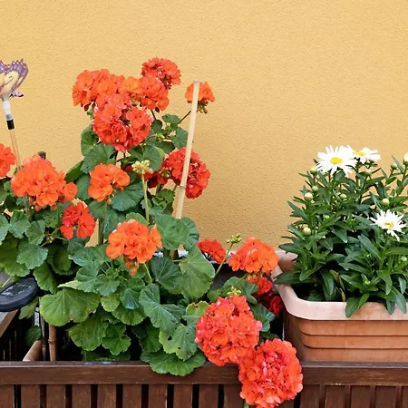 Appartement Numero 7